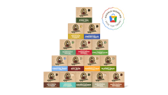 [US] Holiday Gift Guide 2025 | Best Deals