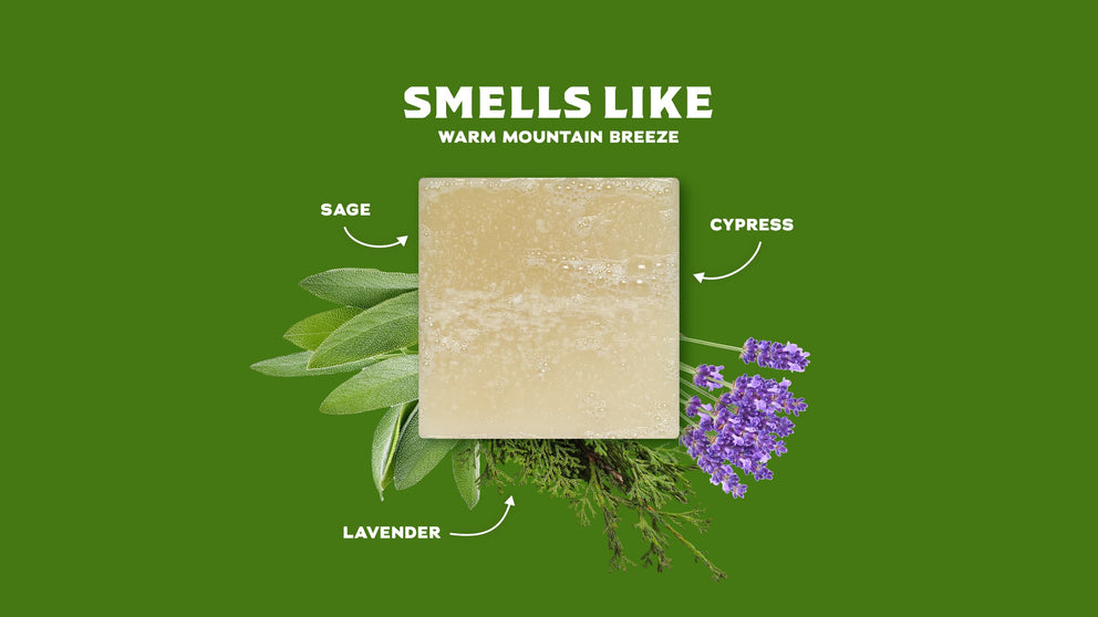 Alpine Sage