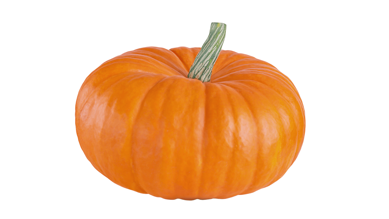 Autumn Harvest Bundle