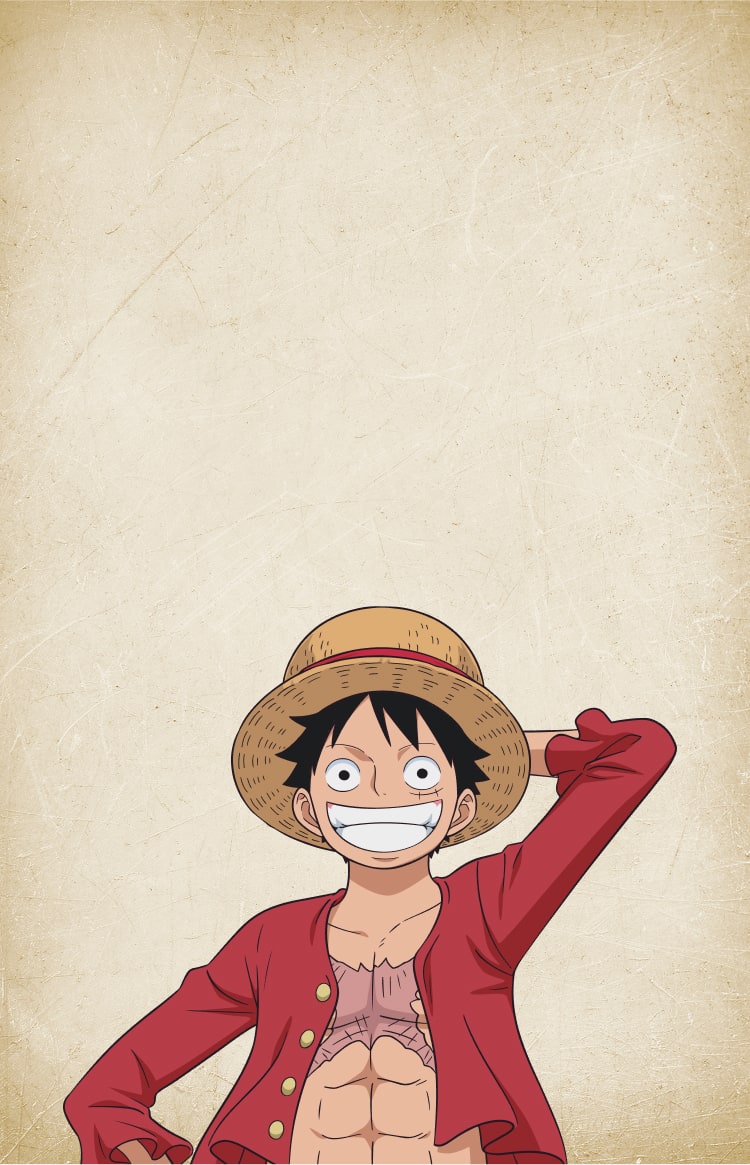 ONE PIECE Plunder Bundle