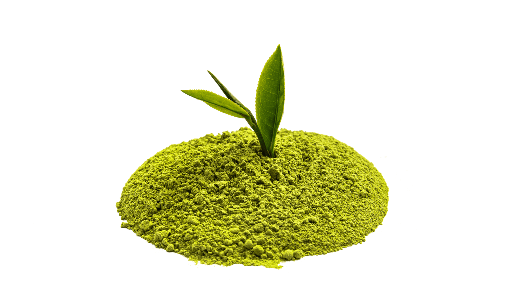 Total Moisture Green Tea Butter