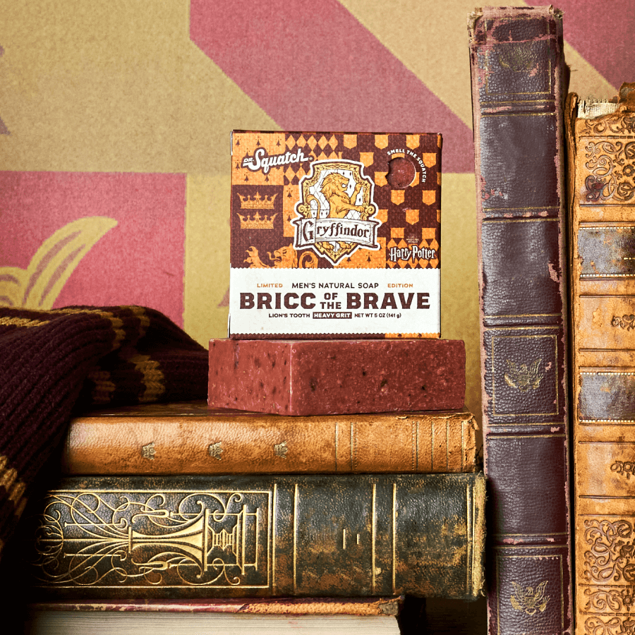 SPAO ハリーポッター ストライプ 半袖 Tシャツ (BROWN) Harry Potter Collection - Dr. Squatch